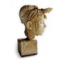 Designer's Atelier Home Accessories Collection | Feminine Bust with Armadillo  | Interior Designers